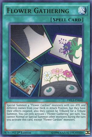 Flower Gathering [DRL3-EN040] Ultra Rare