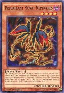 Predaplant Moray Nepenthes [INOV-EN007] Common
