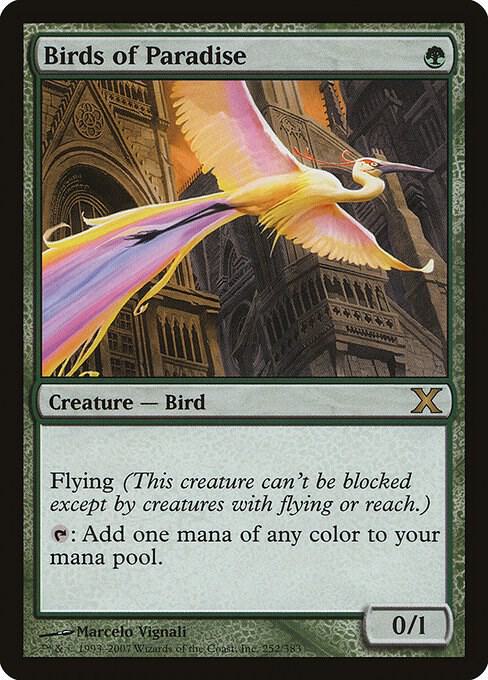 Birds of Paradise (Premium Foil) [Tenth Edition]