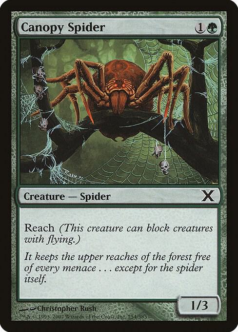 Canopy Spider (Premium Foil) [Tenth Edition]