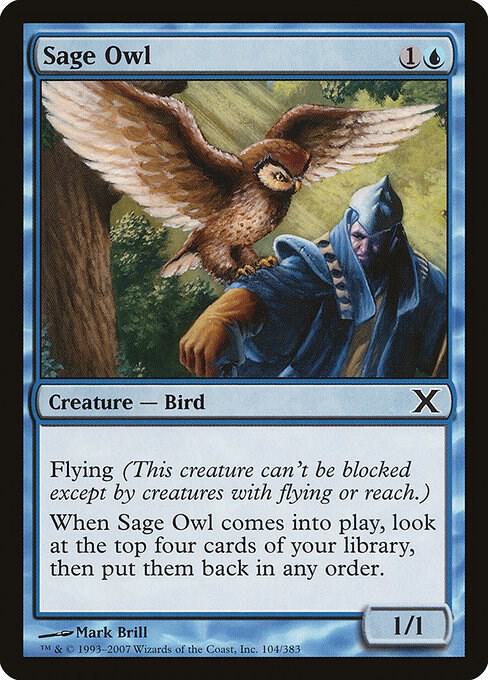 Sage Owl (Premium Foil) [Tenth Edition]