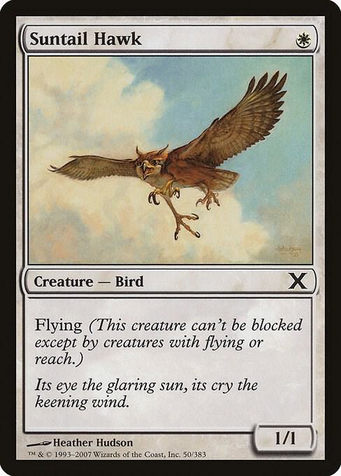Suntail Hawk (Premium Foil) [Tenth Edition]