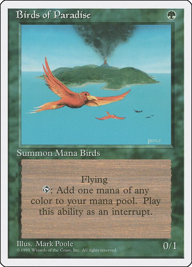 Birds of Paradise [Fourth Edition]