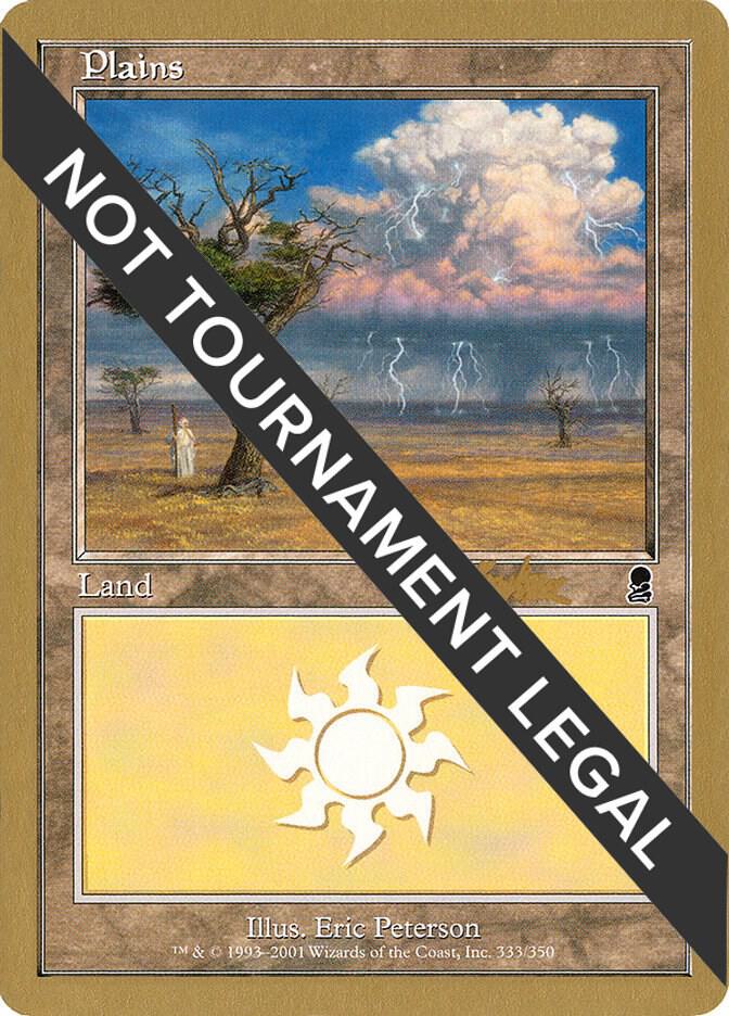 Plains (bk333) (Brian Kibler) [World Championship Decks 2002]