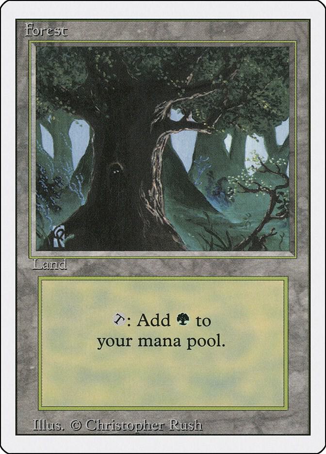 Forest (Eyes in Tree) [Revised Edition]
