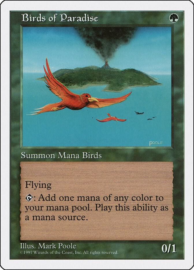 Birds of Paradise [Fifth Edition]