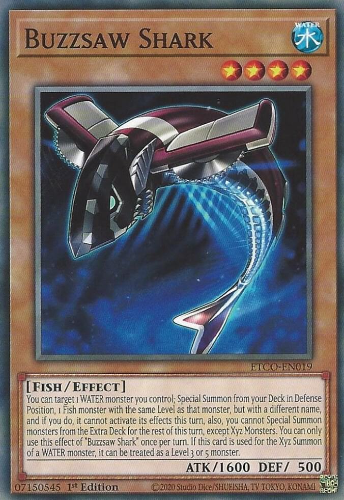 Buzzsaw Shark [ETCO-EN019] Common