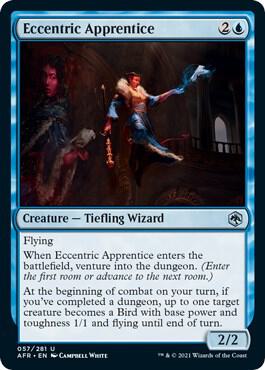 Eccentric Apprentice [Dungeons & Dragons: Adventures in the Forgotten Realms]