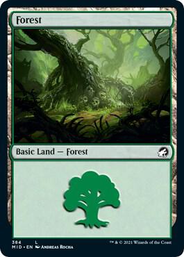 Forest (384) [Innistrad: Midnight Hunt]