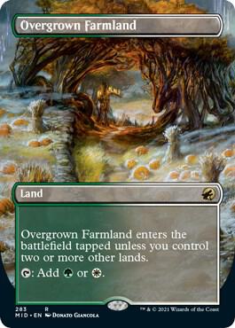 Overgrown Farmland (Borderless Alternate Art) [Innistrad: Midnight Hunt]