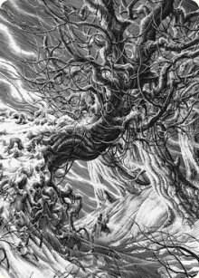 Forest Art Card [Innistrad: Crimson Vow Art Series]