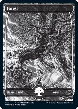 Forest (The Moonlit Lands) (Foil Etched) [Innistrad: Crimson Vow Promos]