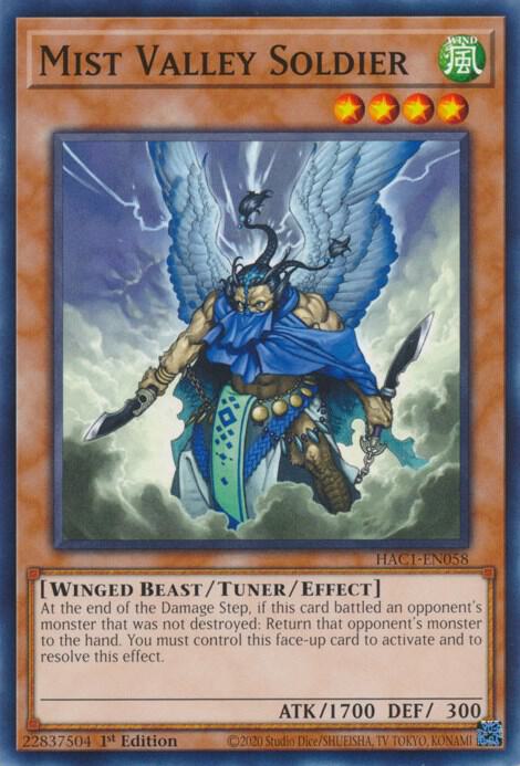 Mist Valley Soldier [HAC1-EN058] Common