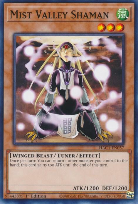 Mist Valley Shaman [HAC1-EN057] Common