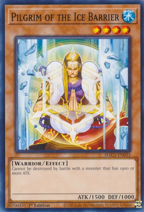 Pilgrim of the Ice Barrier [HAC1-EN035] Common