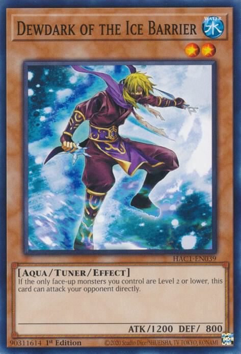 Dewdark of the Ice Barrier [HAC1-EN039] Common