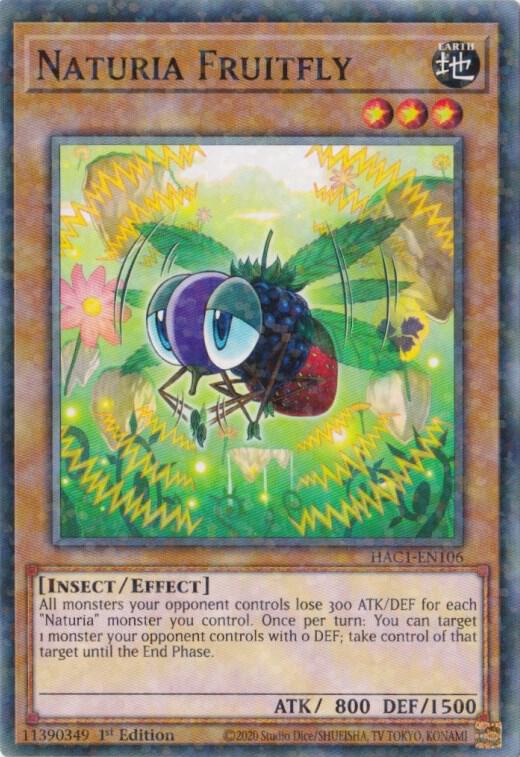 Naturia Fruitfly (Duel Terminal) [HAC1-EN106] Common