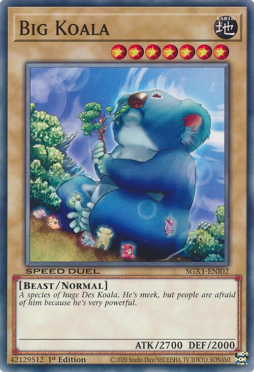 Big Koala [SGX1-ENI02] Common