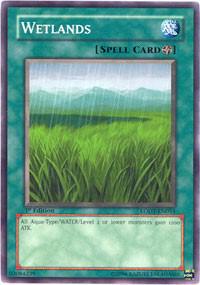 Wetlands [LODT-EN054] Common