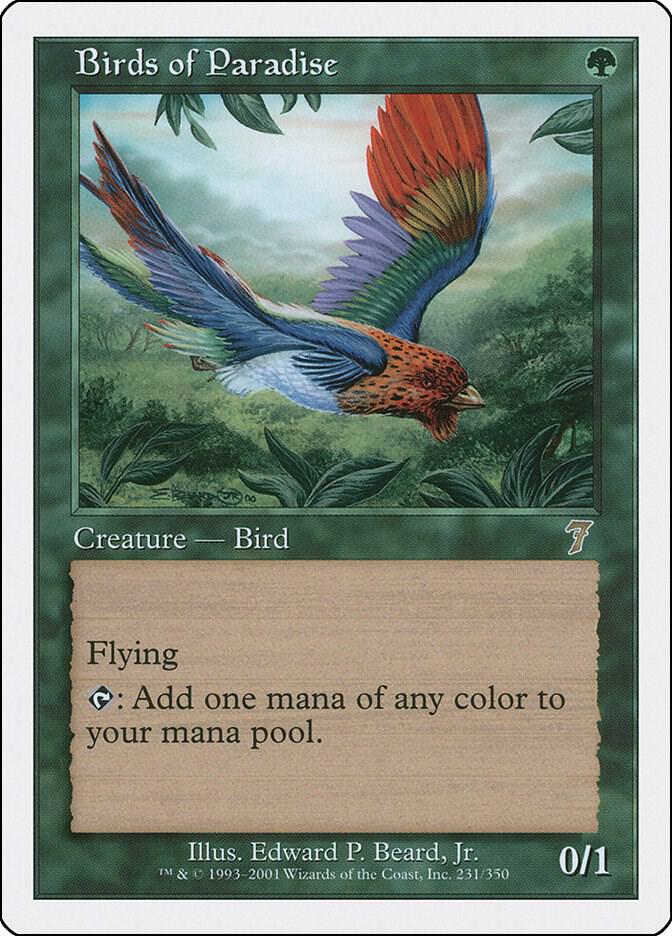 Birds of Paradise [Seventh Edition]