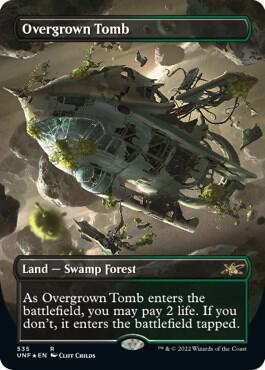 Overgrown Tomb (Borderless) (Galaxy Foil) [Unfinity]