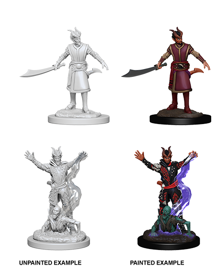 D&D Nolzur’s Marvelous Miniatures: Male Tiefling Warlock