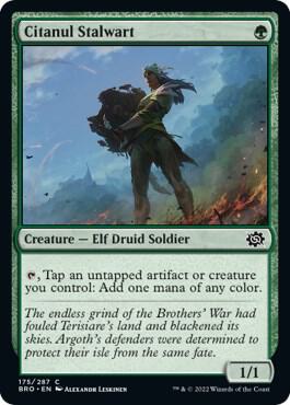 Citanul Stalwart [The Brothers' War]