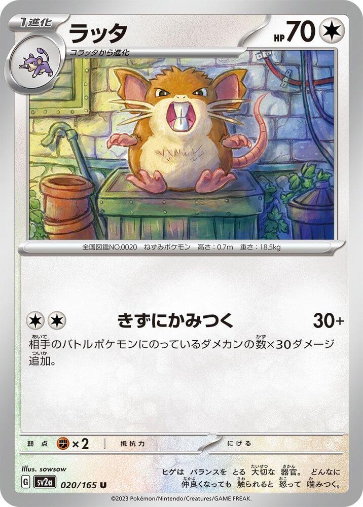 Raticate (020/165) [SV2a: Pokemon Card 151] (Japanese)