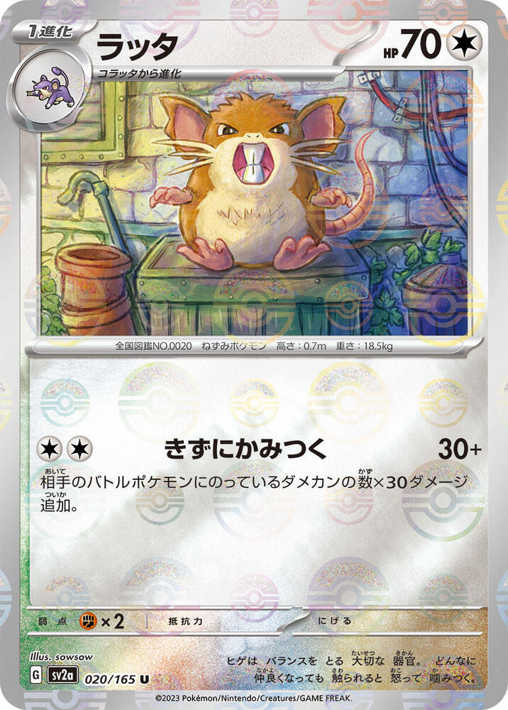 Raticate (Poke Ball Pattern) (020/165) [SV2a: Pokemon Card 151] (Japanese)
