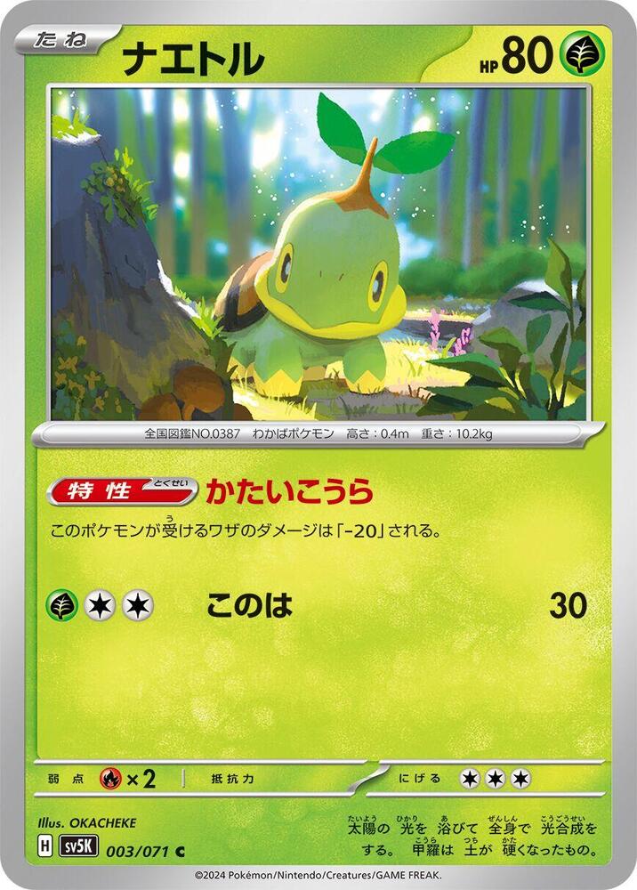 Turtwig (003/071) [SV5K: Wild Force] (Japanese)