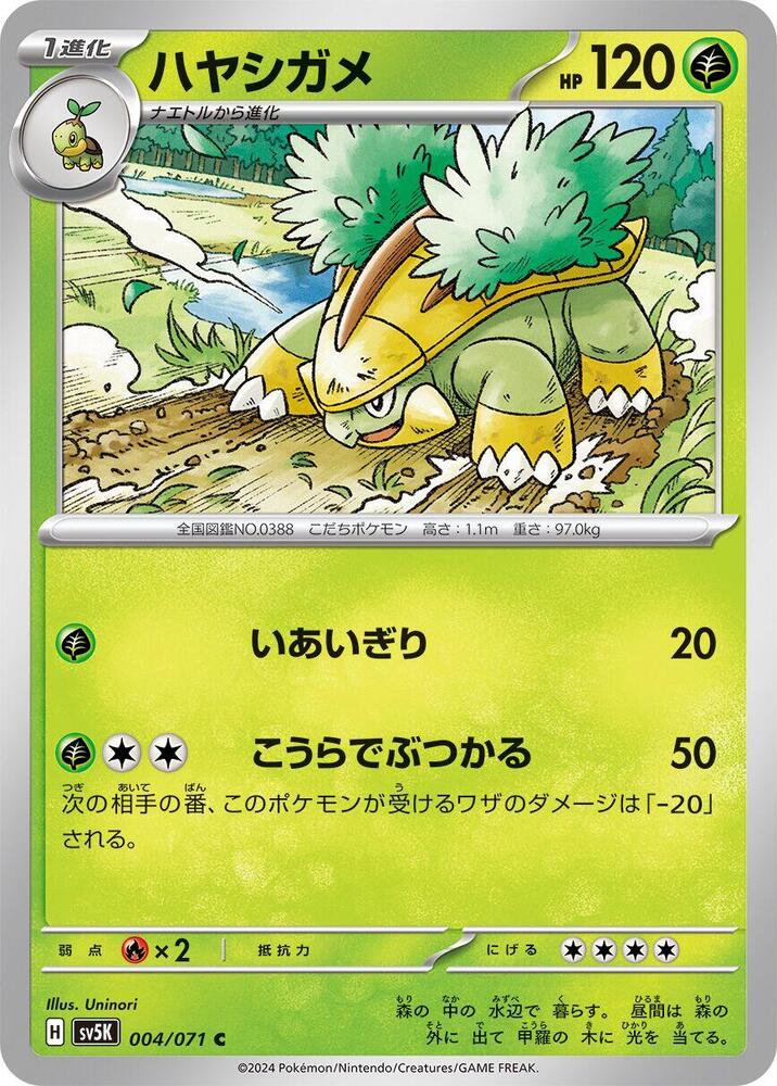 Grotle - 004/071 (004/071) [SV5K: Wild Force] (Japanese)