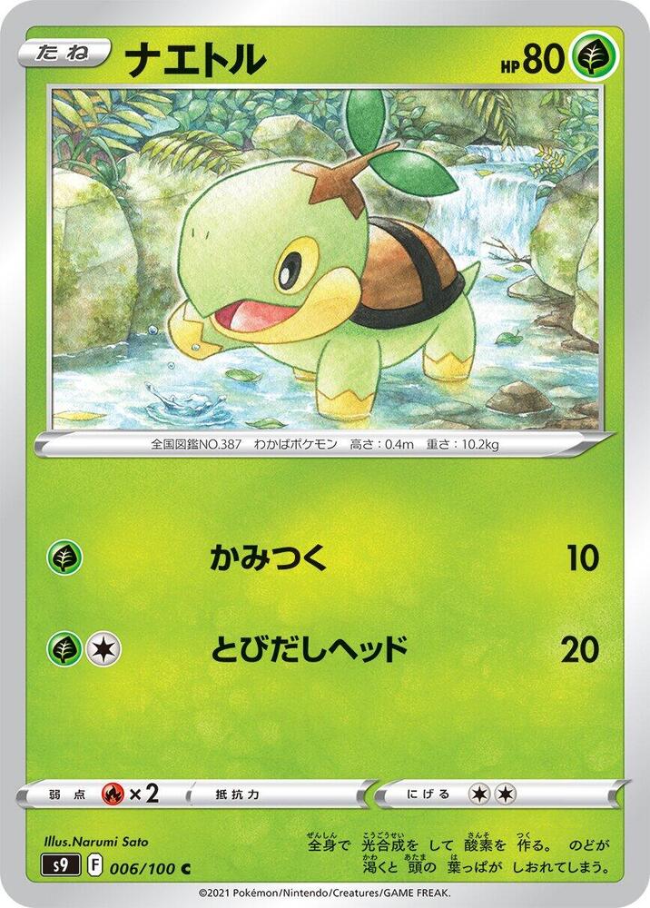 Turtwig (006/100) [S9: Star Birth] (Japanese)