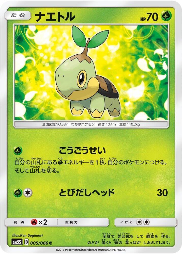 Turtwig - 005/066 (005/066) [SM5S: Ultra Sun] (Japanese)