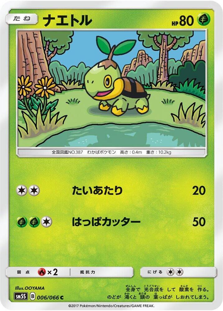 Turtwig - 006/066 (006/066) [SM5S: Ultra Sun] (Japanese)