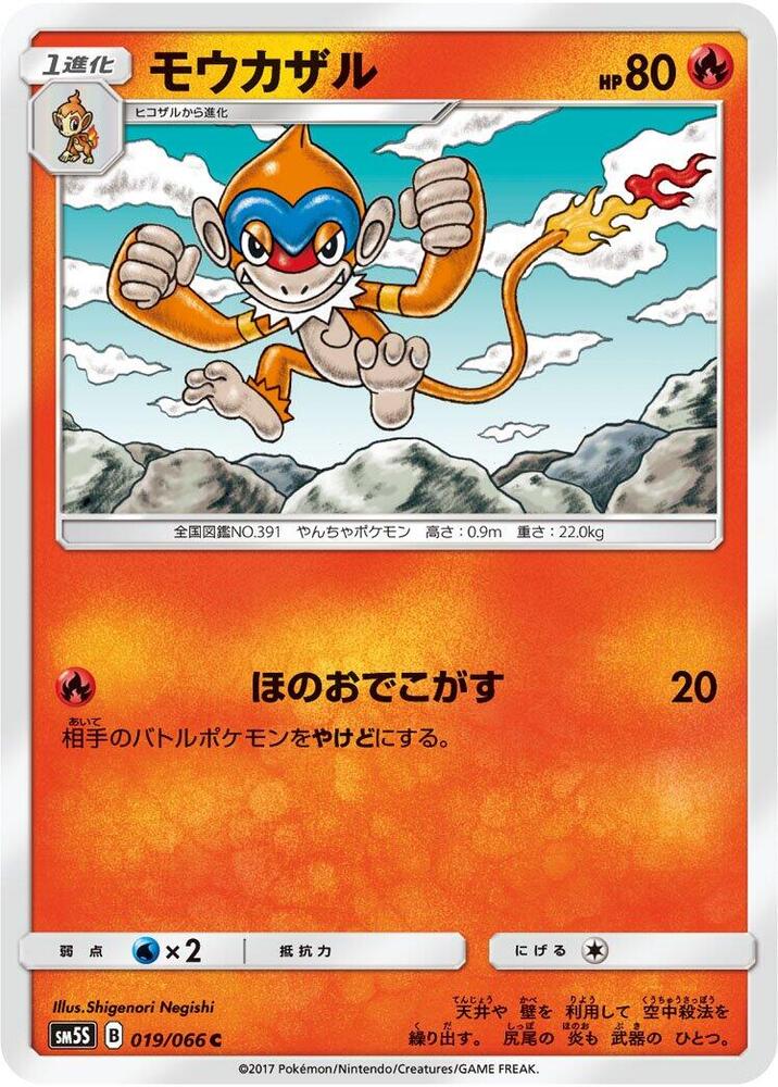 Monferno (019/066) [SM5S: Ultra Sun] (Japanese)