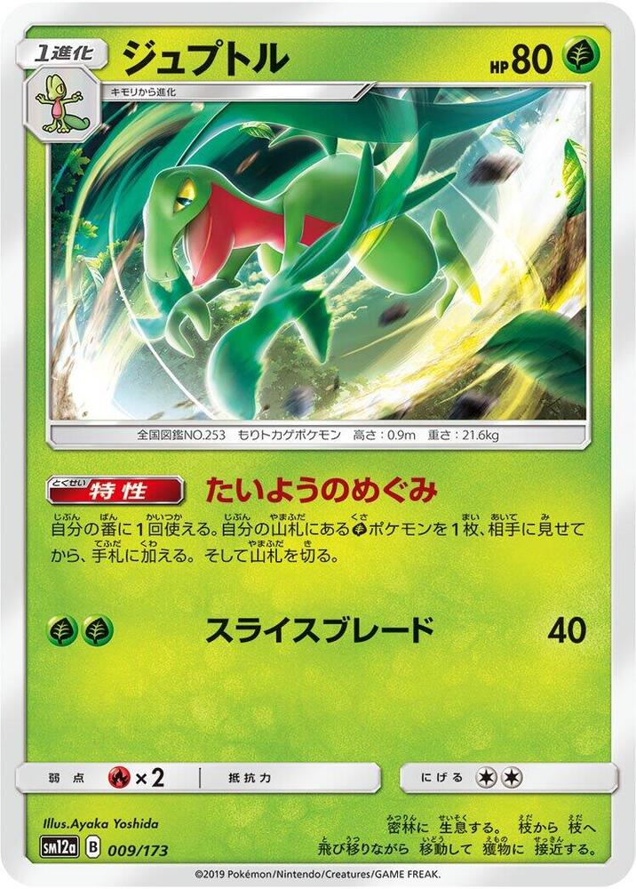 Grovyle (009/173) [SM12a: TAG TEAM GX: Tag All Stars] (Japanese)