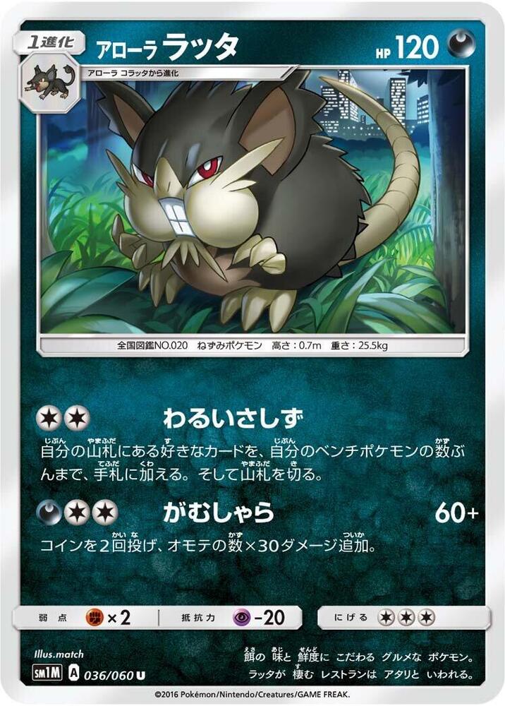 Alolan Raticate (036/060) [SM1M: Collection Moon] (Japanese)