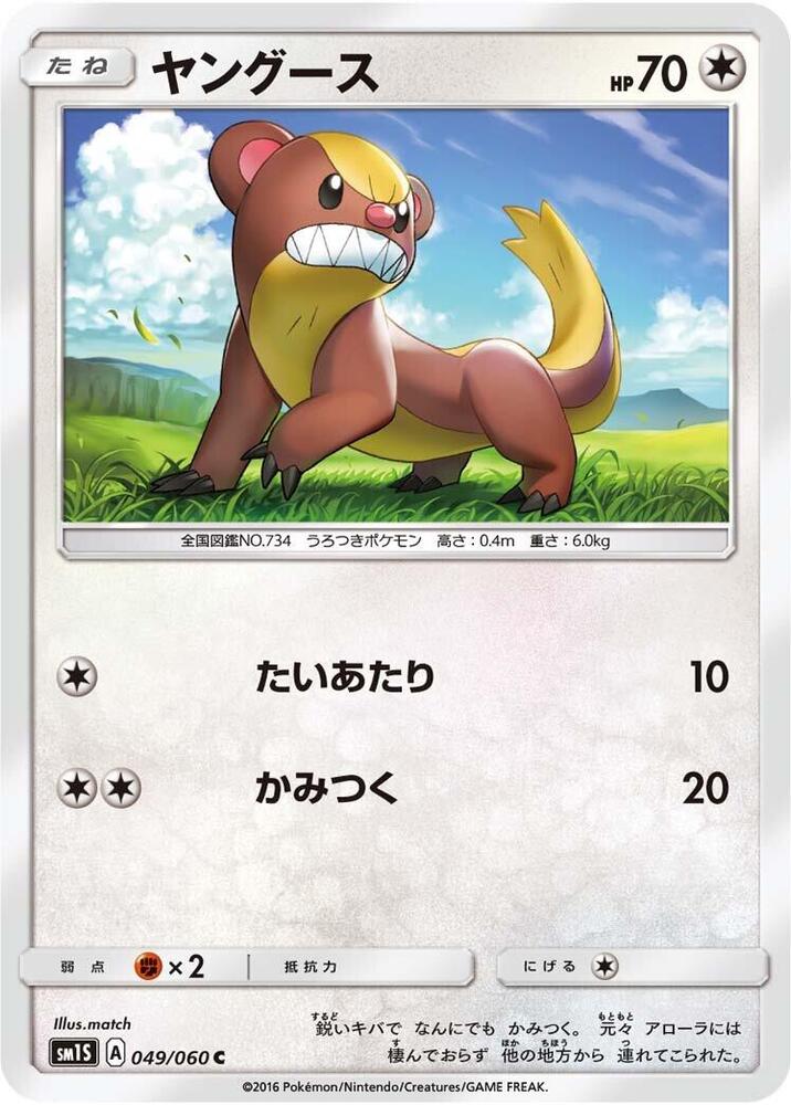 Yungoos (049/060) [SM1S: Collection Sun] (Japanese)
