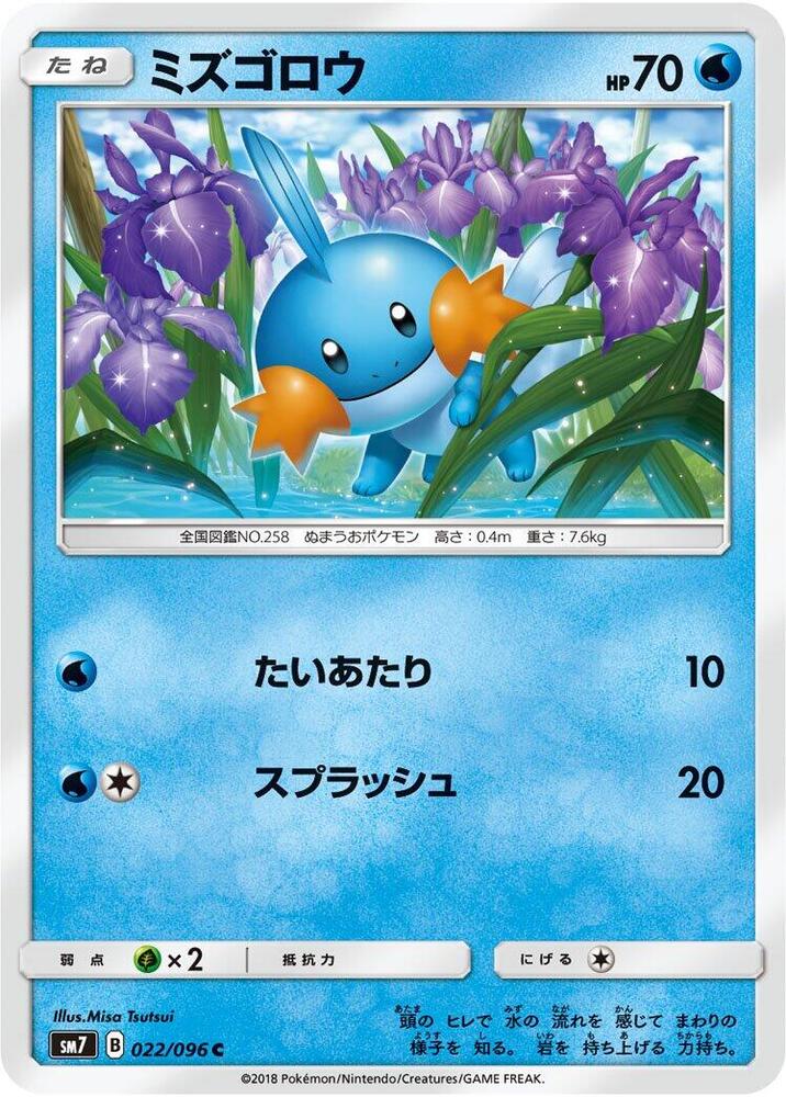 Mudkip - 022/096 (022/096) [SM7: Sky-Splitting Charisma] (Japanese)