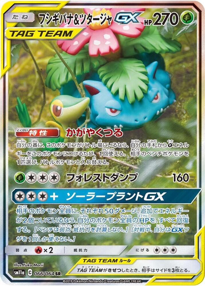 Venusaur & Snivy GX - 066/064 (066/064) [SM11a: Remix Bout] (Japanese)