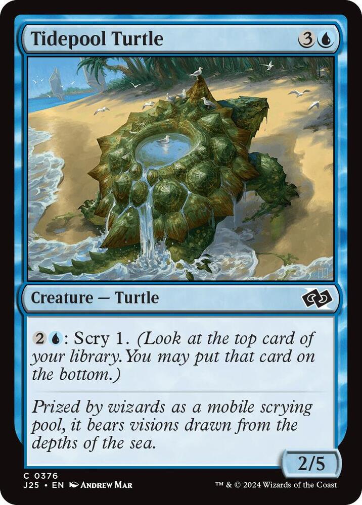 Tidepool Turtle [Foundations Jumpstart]