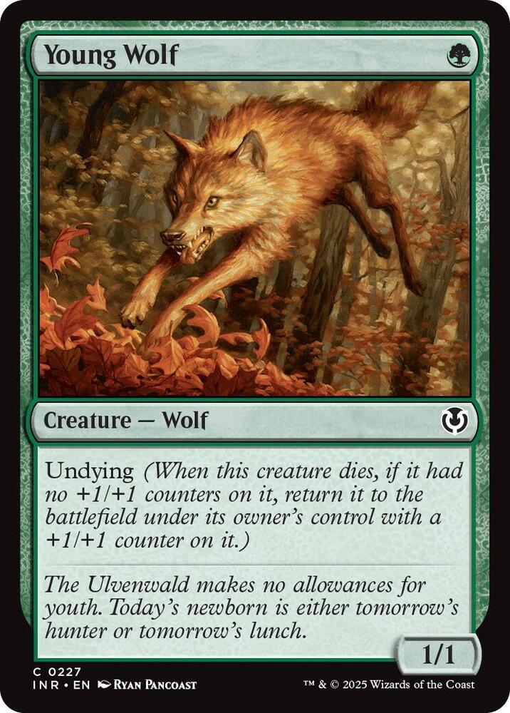 Young Wolf [Innistrad Remastered]