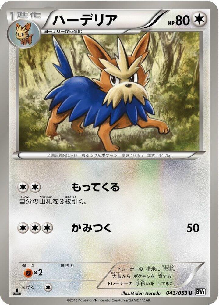 Herdier (043/053) [BW1: White Collection] (Japanese)