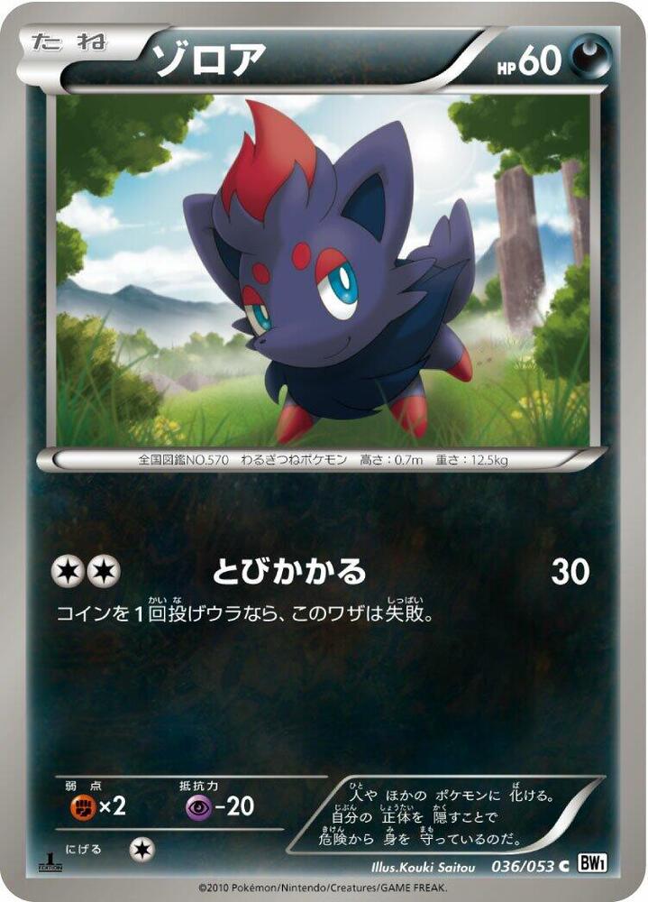 Zorua (036/053) [BW1: White Collection] (Japanese)