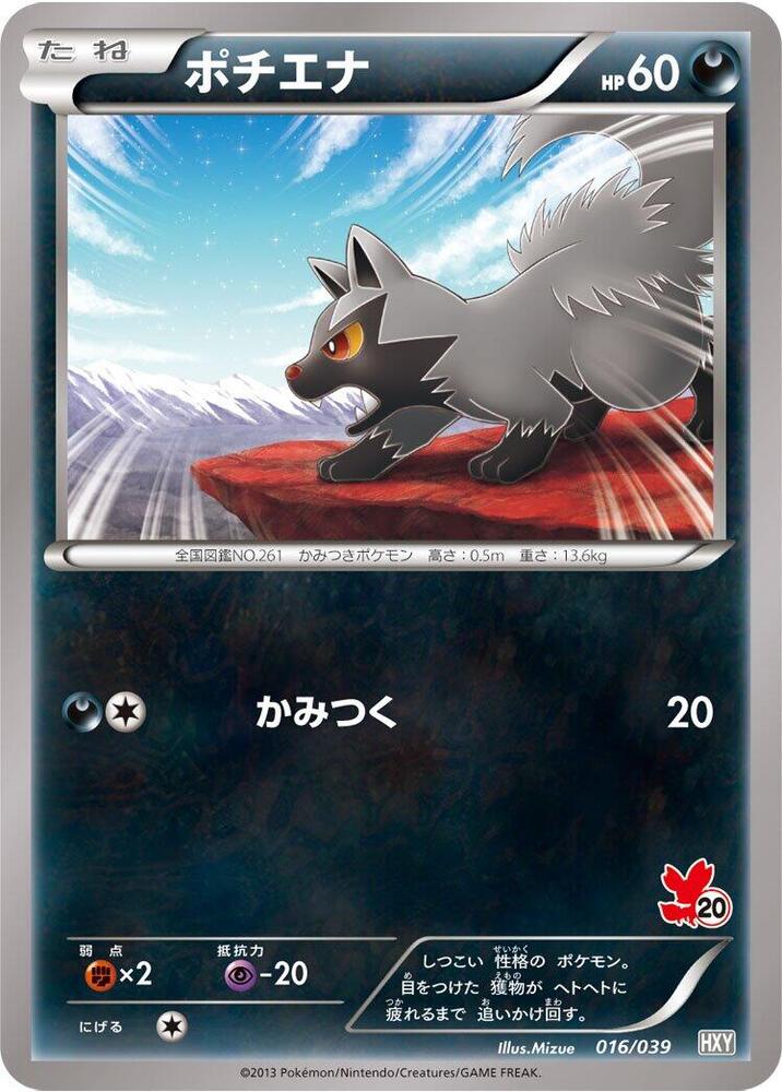 Poochyena (016/039) [XY Beginning Set] (Japanese)