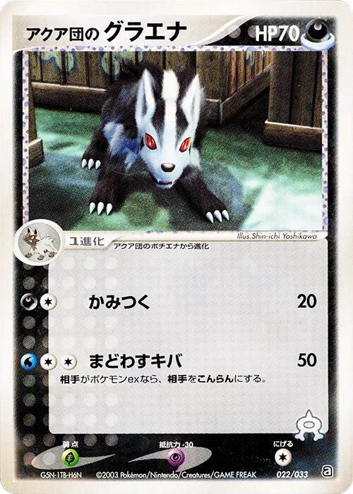 Team Aqua's Mightyena - 022/033 (022/033) [Aqua Deck Kit] (Japanese)
