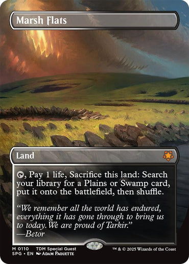Marsh Flats (Borderless) [Tarkir: Dragonstorm Special Guests]