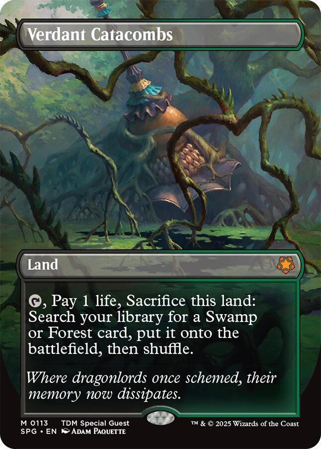Verdant Catacombs (Borderless) [Tarkir: Dragonstorm Special Guests]