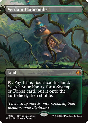 Verdant Catacombs (Borderless) [Tarkir: Dragonstorm Special Guests]