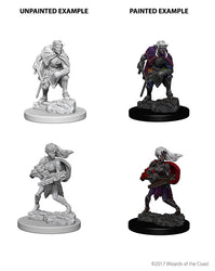 D&D Nolzur’s Marvelous Miniatures: Drow